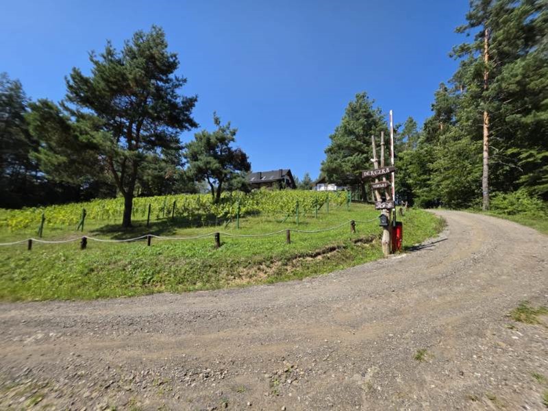 Woodland Hill
