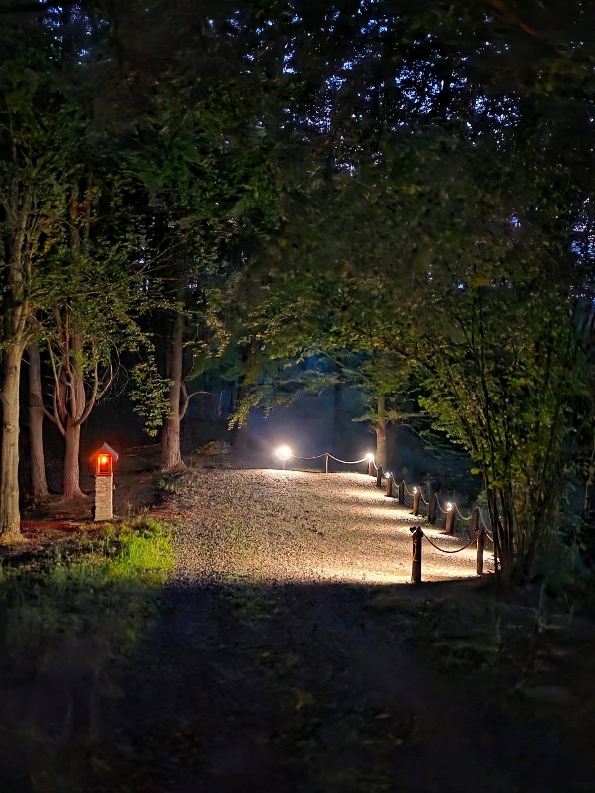 Woodland Hill